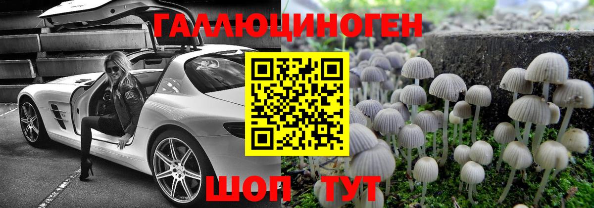 Псилоцибиновые грибы MAGIC MUSHROOMS Переславль-Залесский